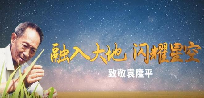 融入大地闪耀星空致敬袁隆平