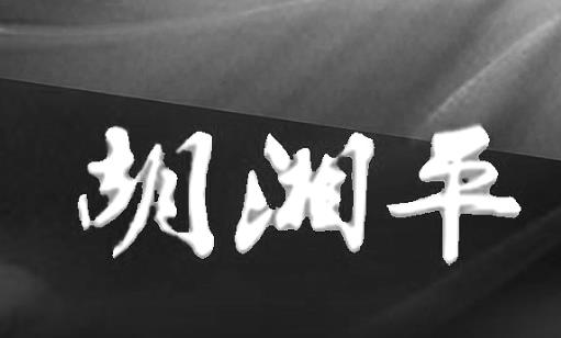 胡湘平祖国和人民永不忘记