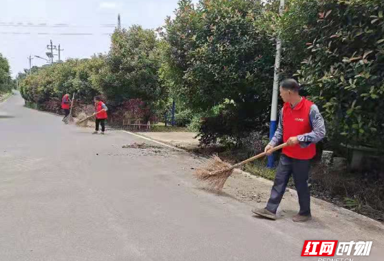 开福区沙坪街道：环境整治 保卫蓝天碧水净土