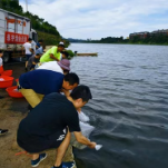 湘乡市：“增殖放流”提质渔业环境  严格执法守护清清涟水