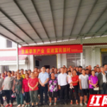 湖南省农业农村厅乡村振兴帮扶工作队：做好大山里的“三水文章”