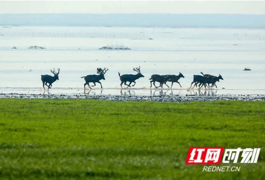 2021“青山碧水新湖南”摄影大赛发布征稿启事