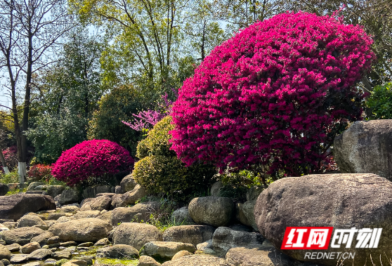 10月15日-17日，2021湖南花木博览会将在石燕湖景区举办