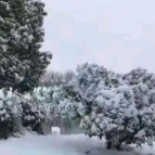 1月中旬至春节期间，湖南将有多轮冷空气来袭！