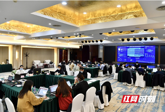 史上首次！湖南省十三届人大五次会议接收“全团建议”