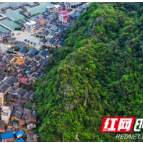 国家林下经济示范基地公布 湖南4家上榜