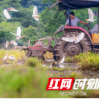 湖南“瑶珍香米”入选全国农产品包装标识典范