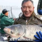 节前看消费 | 安徽颍上:腊月冬捕 年年有余