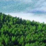 省减灾委:11月干旱持续发展,务必做好灾害风险防范工作