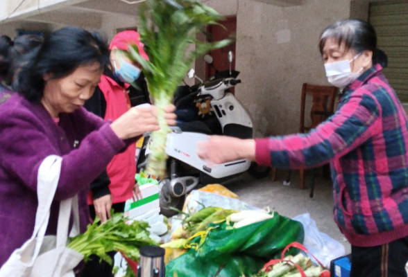 温暖送到心坎里，长沙幸福桥社区开展“一元蔬菜进万家”便民惠民活动