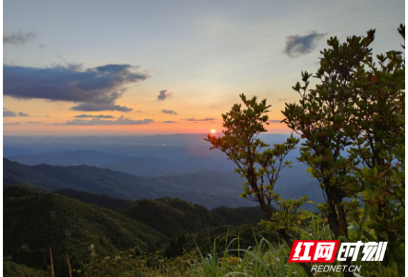 山乡巨变雪峰山⑤丨擎天之柱是产业