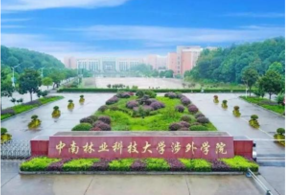 中南林科大涉外学院举办2022年知新论坛学术活动