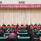 王成：以更大力度更实举措 持续推进抓党建促乡村振兴