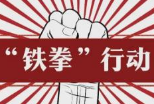 湖南公布2022民生案件“铁拳”行动17个典型案例