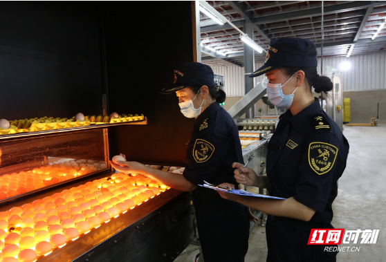 舌尖上的“湘”港｜湖南这些鲜活产品摆上香港居民餐桌