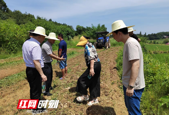 把论文写在祖国的大地上！10名博士后与合作导师深入基层一线 助力乡村振兴