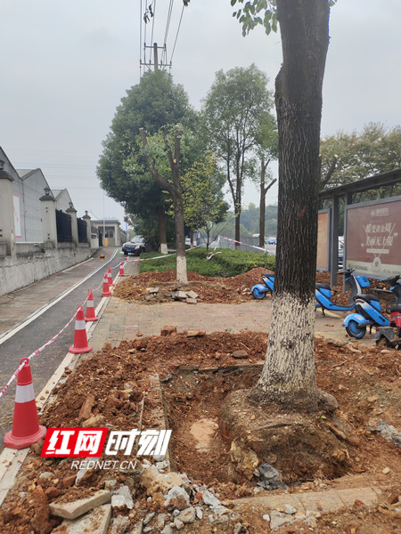 施工现场.jpg