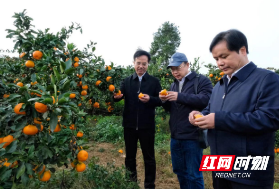 打好科技创新攻坚仗 三级联动科技小分队赋能乡村振兴 