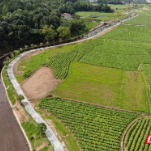 新征程 新样范丨湖南唯一 浏阳这个水土保持小流域治理示范建设项目建得如何？