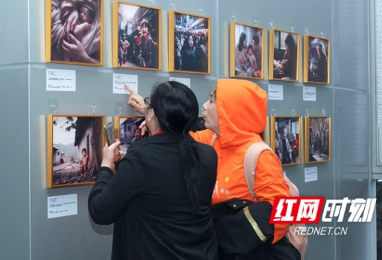 “我们的AI之眼”湖南省首届AI摄影展览开幕