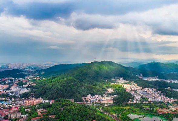 龚曙光丨我居左岸
