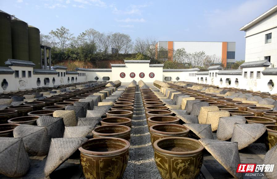 湖南旅游新“视”界⑦丨龙牌食品工业园：“打酱油”玩出“老字号”的匠心传承