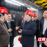 谭勇调研湘江新区数字产业：推动数字经济成为高质量发展“新引擎”