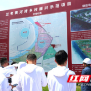 探寻出彩河南竞进密码︱棕榈股份:打造示范样板 助力乡村振兴