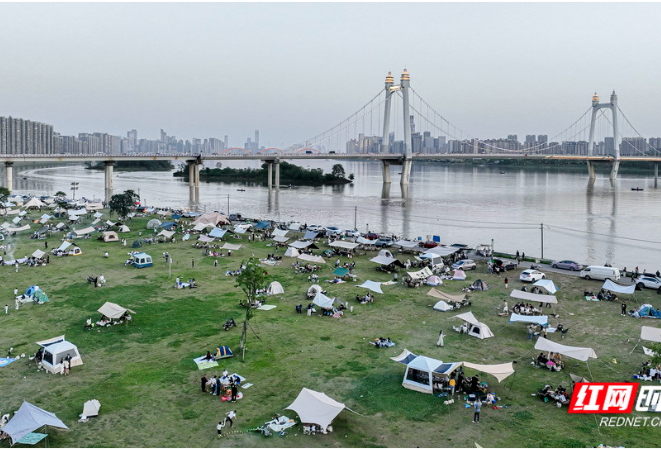 长沙三汊矶大桥下，“野生”草坪6月将升级城市露营基地