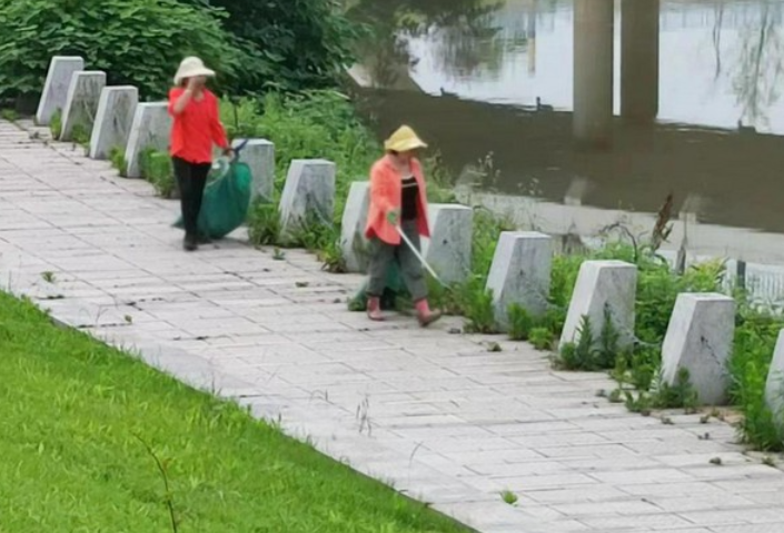 守护一江碧水|望城经开区对马桥河部分河段进行深度清洁打捞