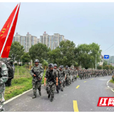 磨炼意志提升战力 桃江县人武部组织民兵实施实战化考核演练