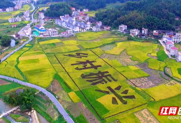 乡村振兴同心曲丨 “智慧”农业尽显“科技范” 锡溪村“校企村”融合为美丽村庄赋能