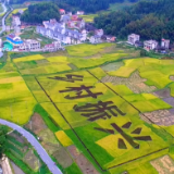 乡村振兴同心曲丨 “智慧”农业尽显“科技范” 锡溪村“校企村”融合为美丽村庄赋能