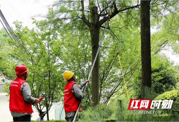 高考保供电｜冷水江供电全面消缺 精心护航高考用电