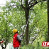 高考保供电｜冷水江供电全面消缺 精心护航高考用电