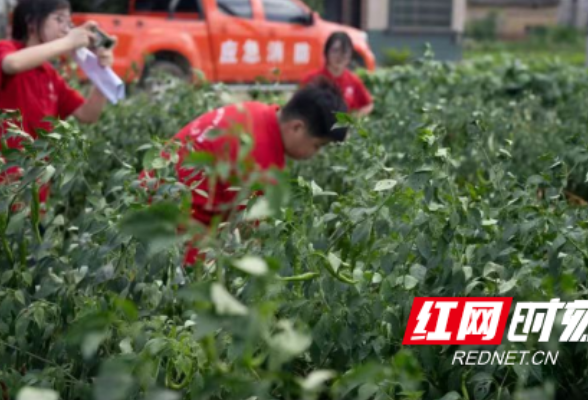 湖南工商大学调研团队在醴陵走访了解产业发展与清洁能源融合