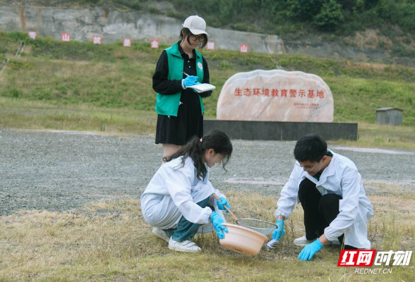 艾草种植治理土壤镉污染——中南林科大“三下乡”活动助力乡村振兴