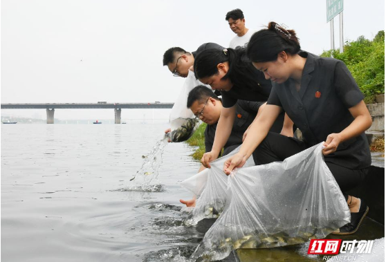 首个全国生态日，200万尾鱼苗畅游长沙母亲河湘江