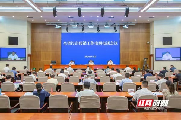 湖南省打击传销工作电视电话会议召开