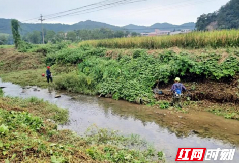 共护河水清 “河小青”在行动