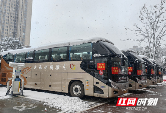 时刻观察 | 迎风斗雪！代表委员向大会报到，湖南进入“两会时间”