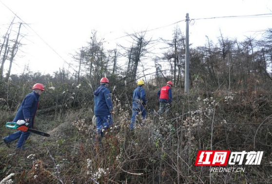 战寒潮｜冰冻再次来袭 湖南电网已严阵以待迎战冰雪