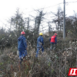 战寒潮｜冰冻再次来袭 湖南电网已严阵以待迎战冰雪