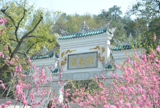 2025桃花源短视频大赛即将开启 邀约大家讲述这片人间仙境