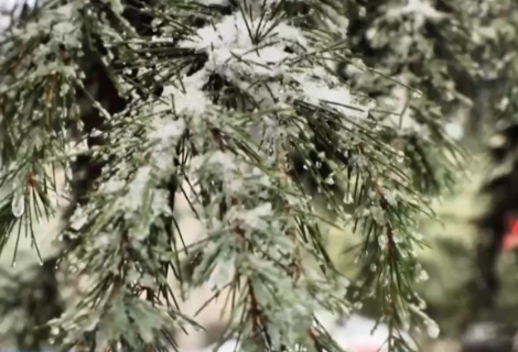 未来10天湖南降水日数可超8天！3月初之前南方大部将维持阴雨雪天气