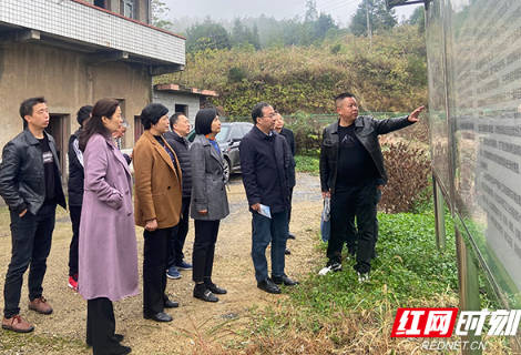 委员风采丨陈赤平：要把湖南的声音带到全国两会