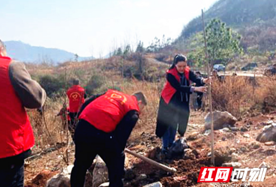 文明实践我行动 植树造林添新绿