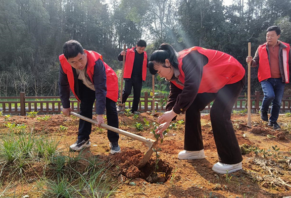 美丽乡村建设丨厚植生态底色 义务植树添新绿 