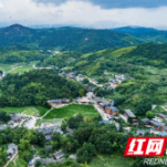 湖南在2023年全国林长制督查考核中获评优秀等次