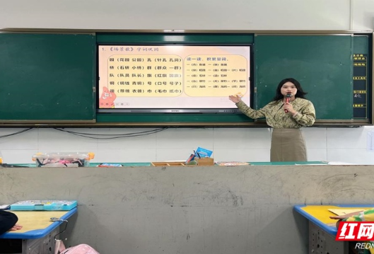 教师风采丨杨倩:不啻微芒 造炬成阳